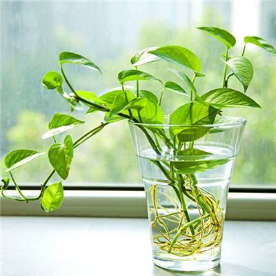 博鱼综合体育官方网站入口